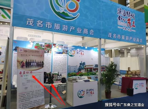 桑盈桑葚紅酒閃耀四川文創大會 數字創意賦能文旅新篇章